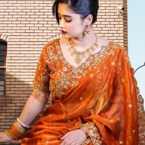 Elegant Champagne Gold Embroidered Silk Saree